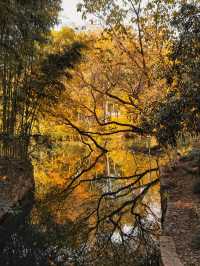 烏村(景色篇)照片太多,20張都不夠發