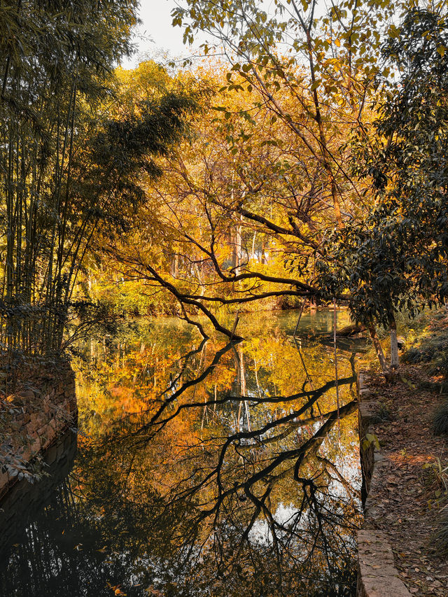 烏村(景色篇)照片太多,20張都不夠發 烏村(景色篇)照片太多,20張都不夠發