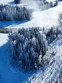 在阿勒泰的24小時