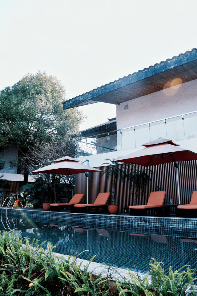 成都周邊1h冬日泡湯+麥田下午茶🫖