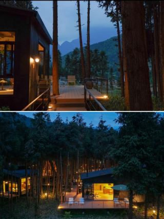 Leshan is amazing!! It actually hides such a forest cabin hotel