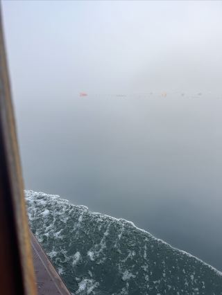 Jiangxi's Hidden Gem Tianzhu Peak Hiking Guide | Reach the Summit in 1 Hour with the Sky-Piercing Giant Rock