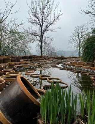 Luoyang Ai He Xiao Machi｜A Secret Pottery Art Travel Spot in the Wilderness