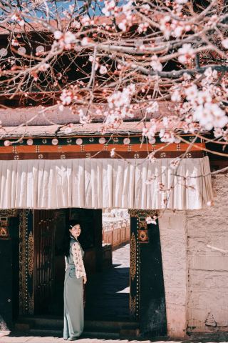 라싸 복숭아꽃 축제 여행 완전 정복