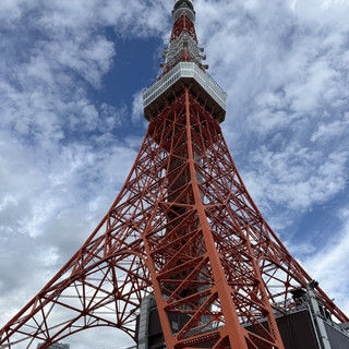 從高處俯瞰東京大都會的景色，盡覽標誌性鐵塔風光。