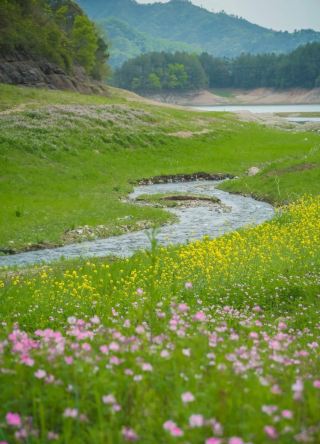 Morning mist drifts over the green hills of the lake, intoxicated in the waters and clouds of Tongji