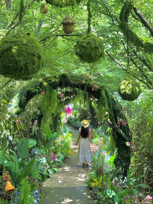 芜湖 魔法の森が芜湖で現実版の童話の秘境を見つけた | Trip.com 蕪湖