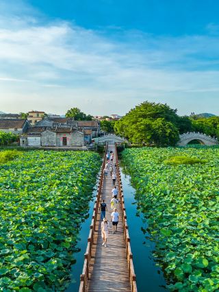 Lotus pond boating, a secret water town paradise