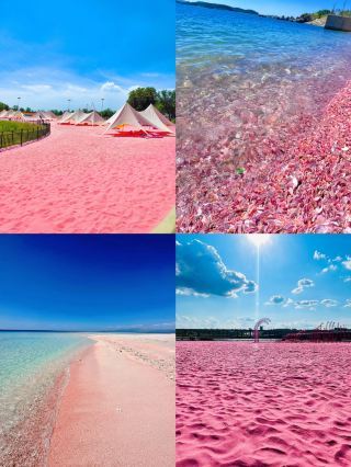 Global pink beaches are not filters! These 5 are truly breathtaking
