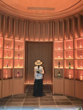 The hidden gem dragonfly found after traveling to Qiandao Lake N times