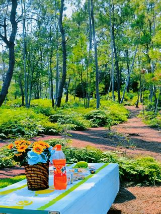 A serene landscape far from the hustle and bustle