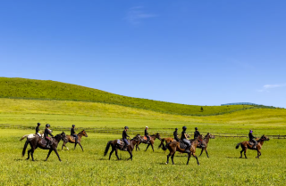 In-depth analysis of choosing a grassland destination near Beijing for families with children; is China Horse Town worth visiting?