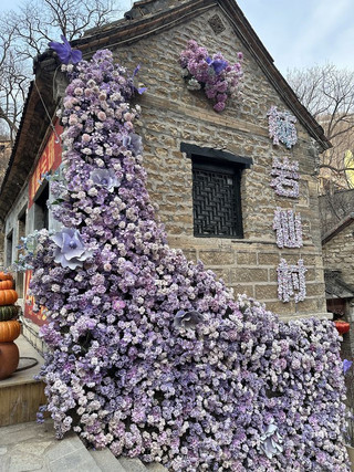Where to go this summer: Weifang and Zibo are really worth it