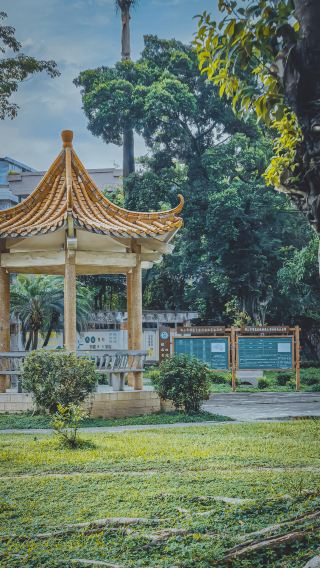 A hidden gem for exploring Lingnan ancient architecture: the tranquility of Dadou Village, Foshan