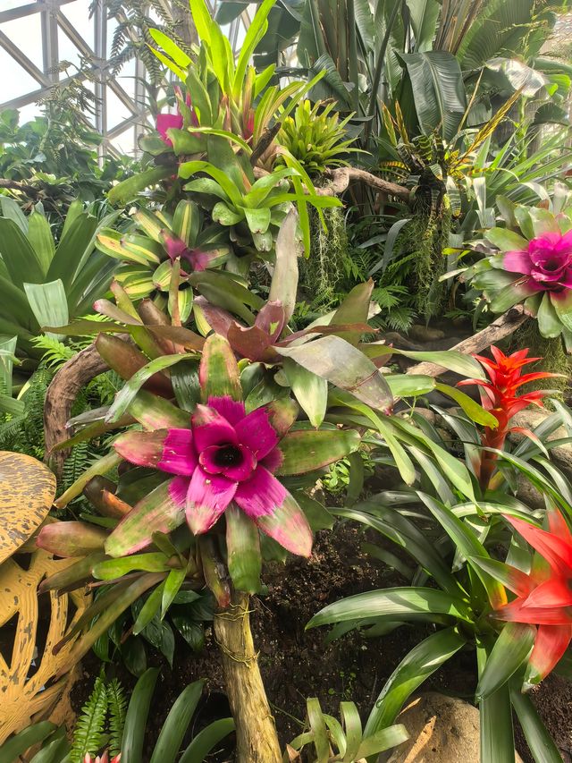 上海週末獨享花海 上海週末獨享花海