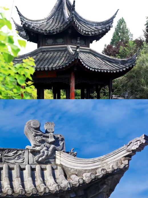 I've returned from Dengzhou, and the aftereffects are truly lingering.
