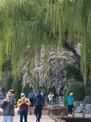 Shichahai, Houhai, and Xihai, the truly laid-back side of Beijing