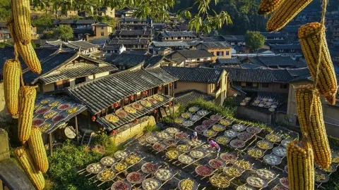 A collection of hidden autumn gems in Sanming! Experience terraced fields, autumn harvest drying, and stunning lakes all in one trip — traveler post in Jiangle