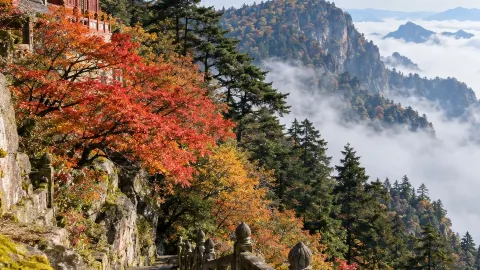 어메이산 금정의 운해 — traveler post in 러산