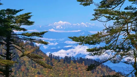 10.8‑11.30 와우산 무료 입장, 가을 하이킹으로 화려한 단풍림을 만나다!   청두 근교에서 가을 하이킹을 즐기는 분들! 큰 혜택을 발견했습니다 — traveler post in 러산