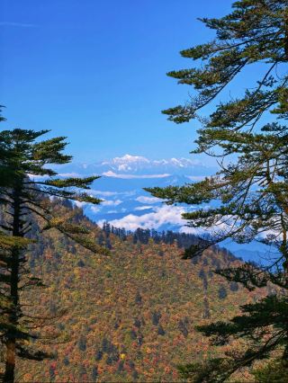10.8‑11.30 와우산 무료 입장, 가을 하이킹으로 화려한 단풍림을 만나다!   청두 근교에서 가을 하이킹을 즐기는 분들! 큰 혜택을 발견했습니다