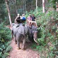 Phuket Ethical Elephant Sanctuary 