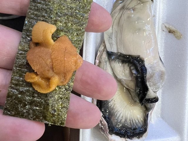 日本大阪黑門市場，新鮮漁獲來這裡找就對了