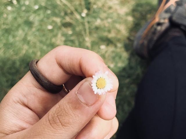 스페인과 프랑스 국경에 있는 피레네 산맥 ⛰️