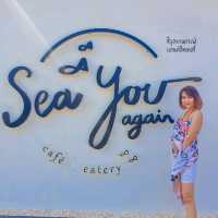 Sea  you again 