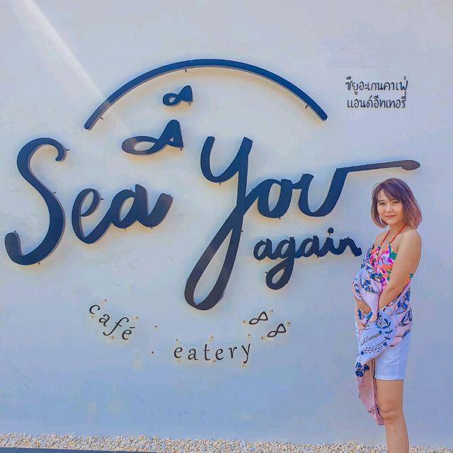 Sea  you again 