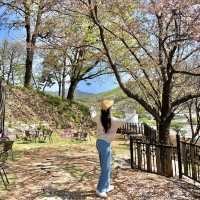 🧡의왕 백운호수 카페 - 명장시대🧡