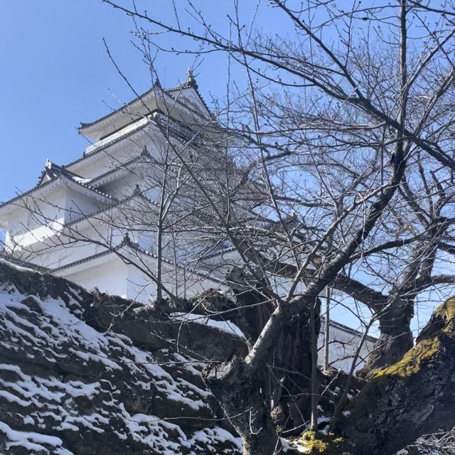 【福島県/会津若松城(鶴ヶ城)】