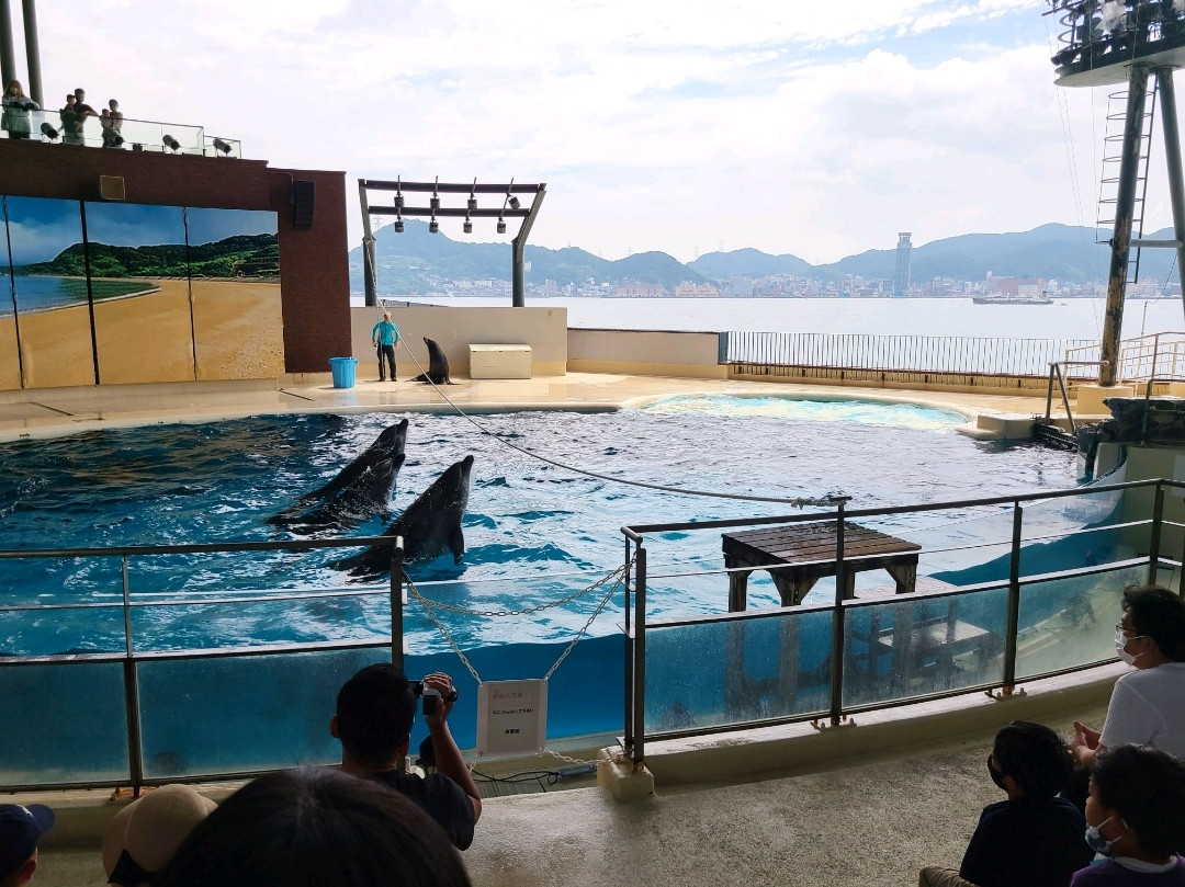 山口】市立しものせき水族館・海響館 | Trip.com 下関