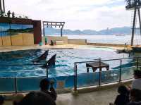 【山口】市立しものせき水族館・海響館