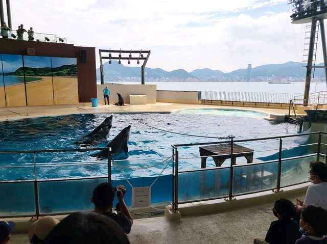 【山口】市立しものせき水族館・海響館