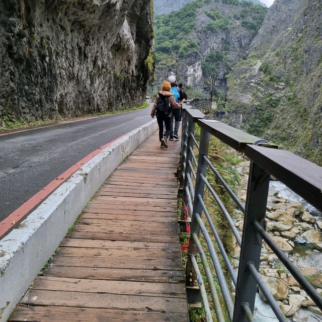 trying to spot swallows in Taroko Gorge 