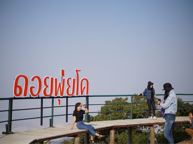 เดินเหนื่อยหน่อยแต่คุ้ม! ‘ดอยพุ่ยโค’