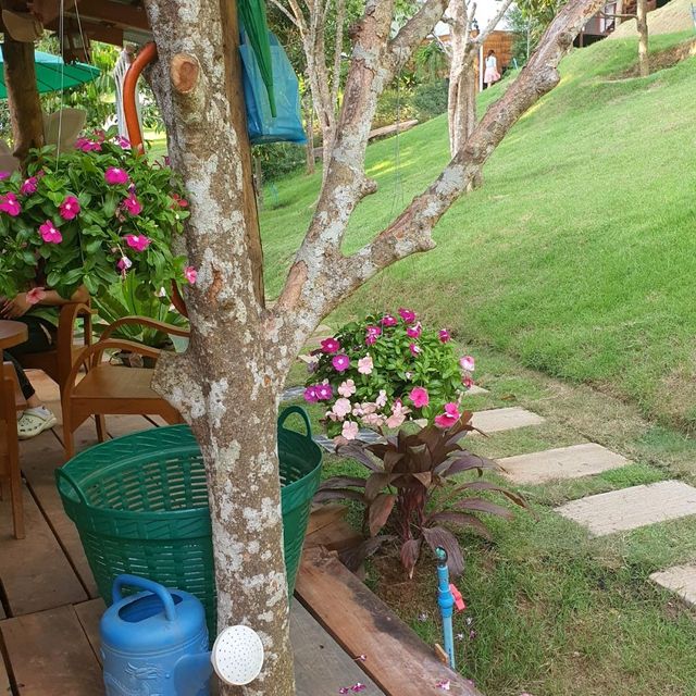 หลงสวน คาเฟ่ท์  ยกภูเขามาไว้ตรงนี้!!