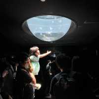 都内にある水族館！