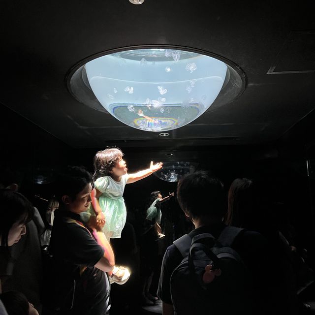 都内にある水族館！