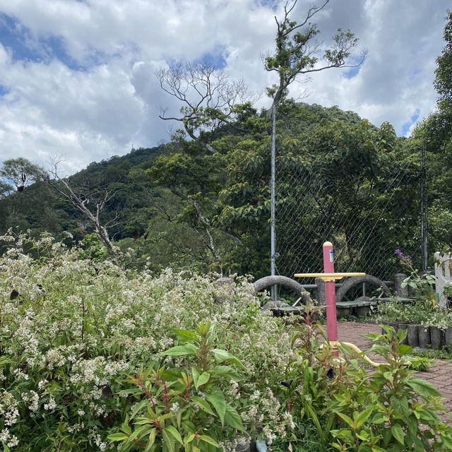 ✨觀音聖像✨