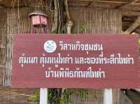 • ศูนย์วัฒนธรรมตนไทดำ บ้านนาป่าหนาด 🌿