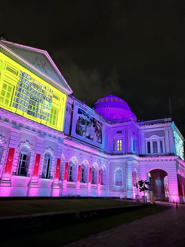 NDP light projections under the stars ✨