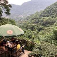山林景觀餐廳