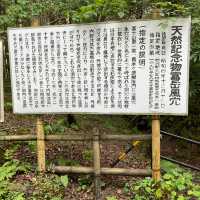 富岳風穴 WIND CAVE