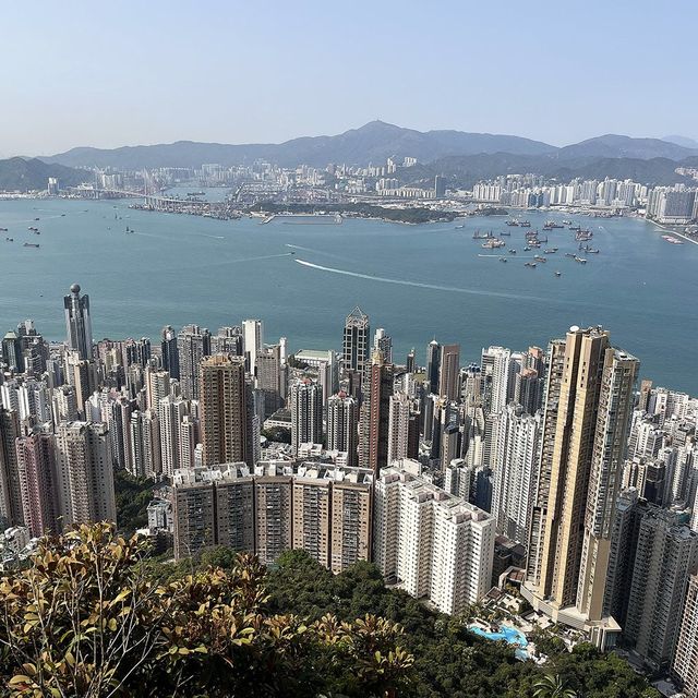 🇭🇰山頂健步,免費觀景台俯瞰維港 🇭🇰山頂健步,免費觀景台俯瞰維港