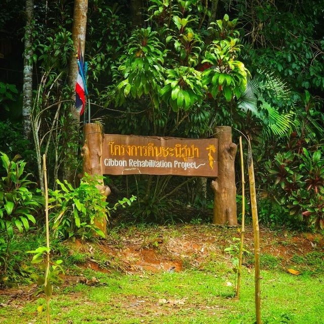 น้ำตกบางแป ภูเก็ต