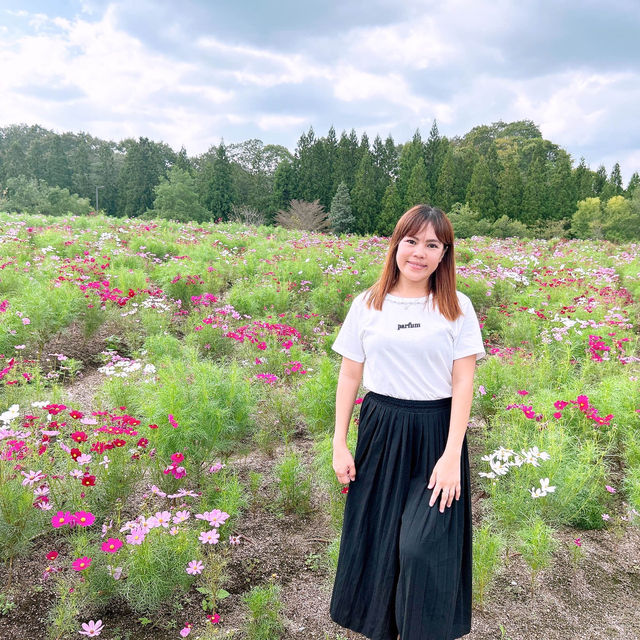 広島県　庄原市　国営備北丘陵公園