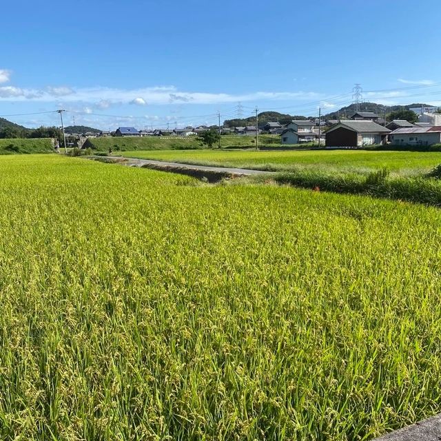 加古川の喫茶店！明日香のモーニングは美味しいコーヒー500円についてくる選べるプレートがすごすぎる