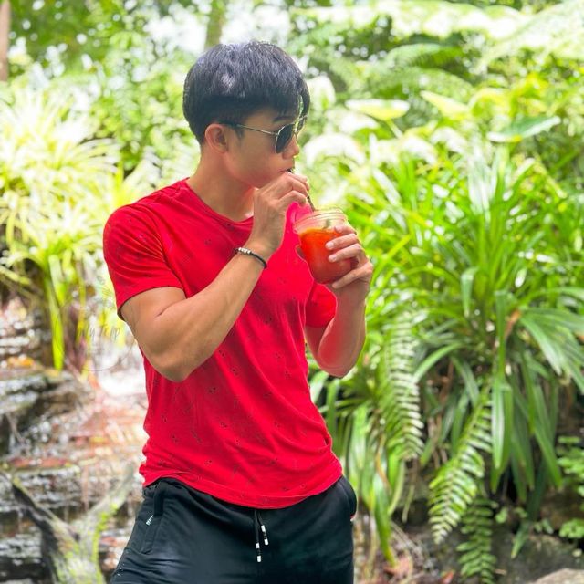 🎁คาเฟ่ฟิลป่าอะเมซอล